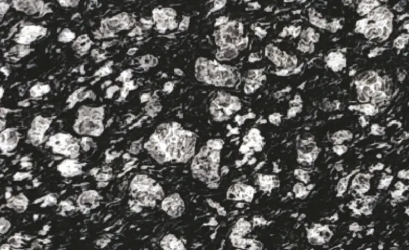 Coin Black - Luxury granite